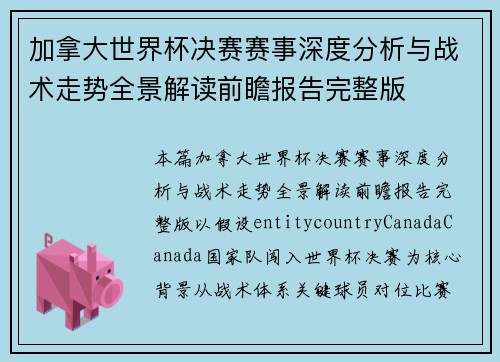 加拿大世界杯决赛赛事深度分析与战术走势全景解读前瞻报告完整版
